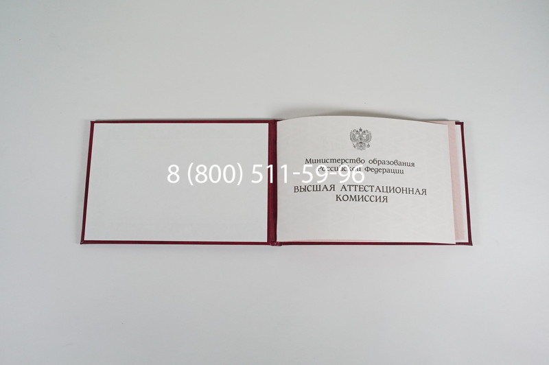 Диплом доктора наук 1995-2006 года в Екатеринбурге Диплом доктора наук 1995-2006 года в Екатеринбурге
